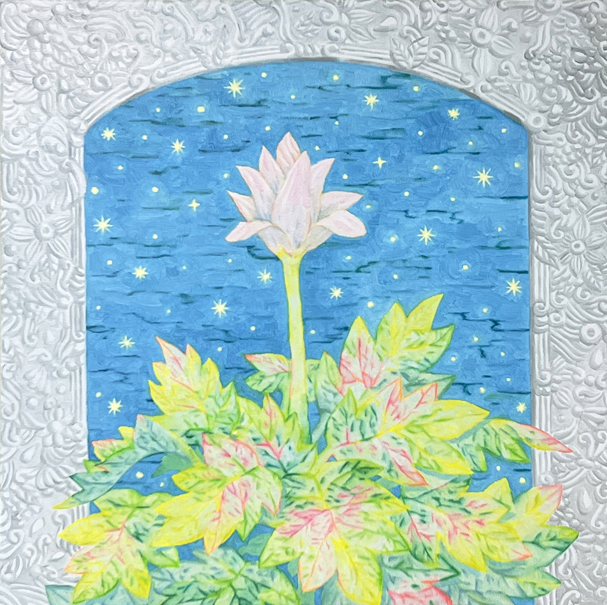 막 피어난 믿음의 식물_A Newly Sprouted Plant of Faith, 2025, oil on canvas, 50cm x 50cm.jpg